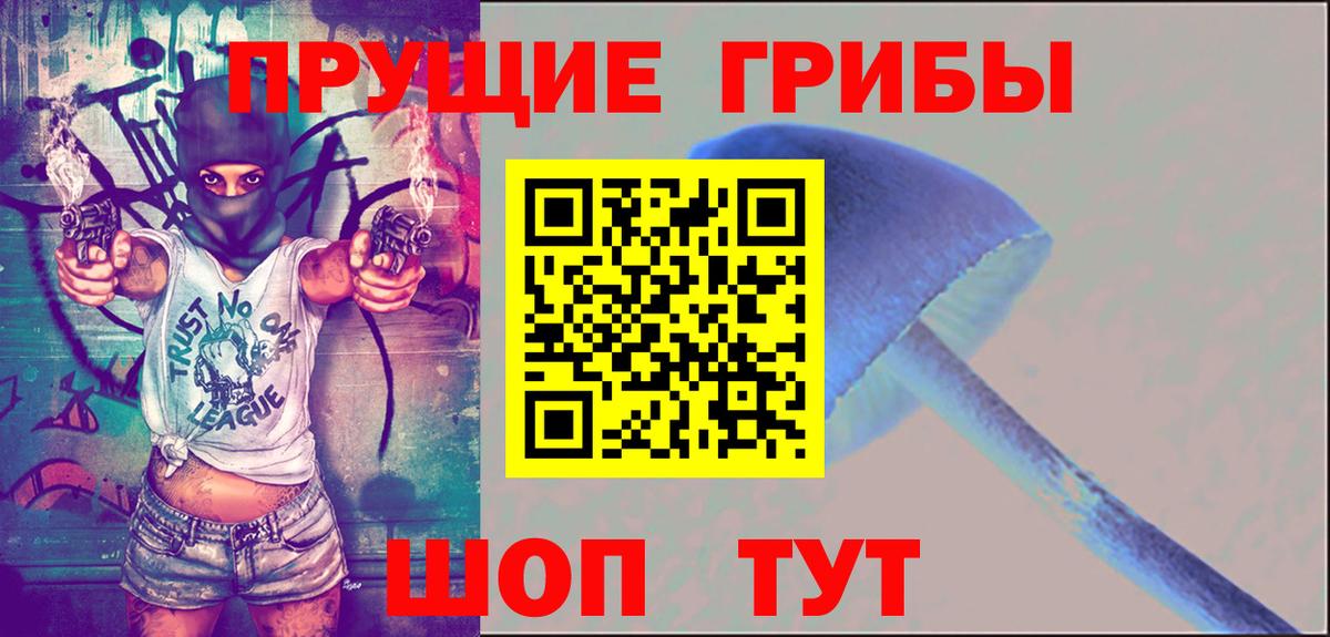Ачинск  Псилоцибиновые грибы Psilocybe  Псилоцибиновые грибы GOLDEN TEACHER  Вход с VPN 