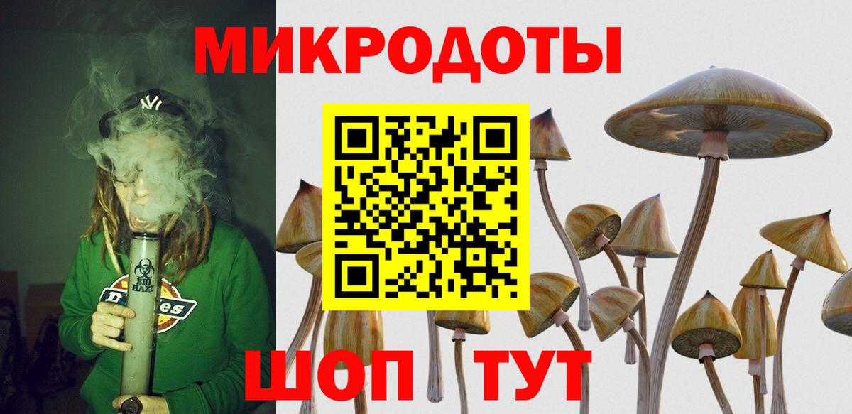 Галлюциногенные грибы Psilocybine cubensis Ачинск